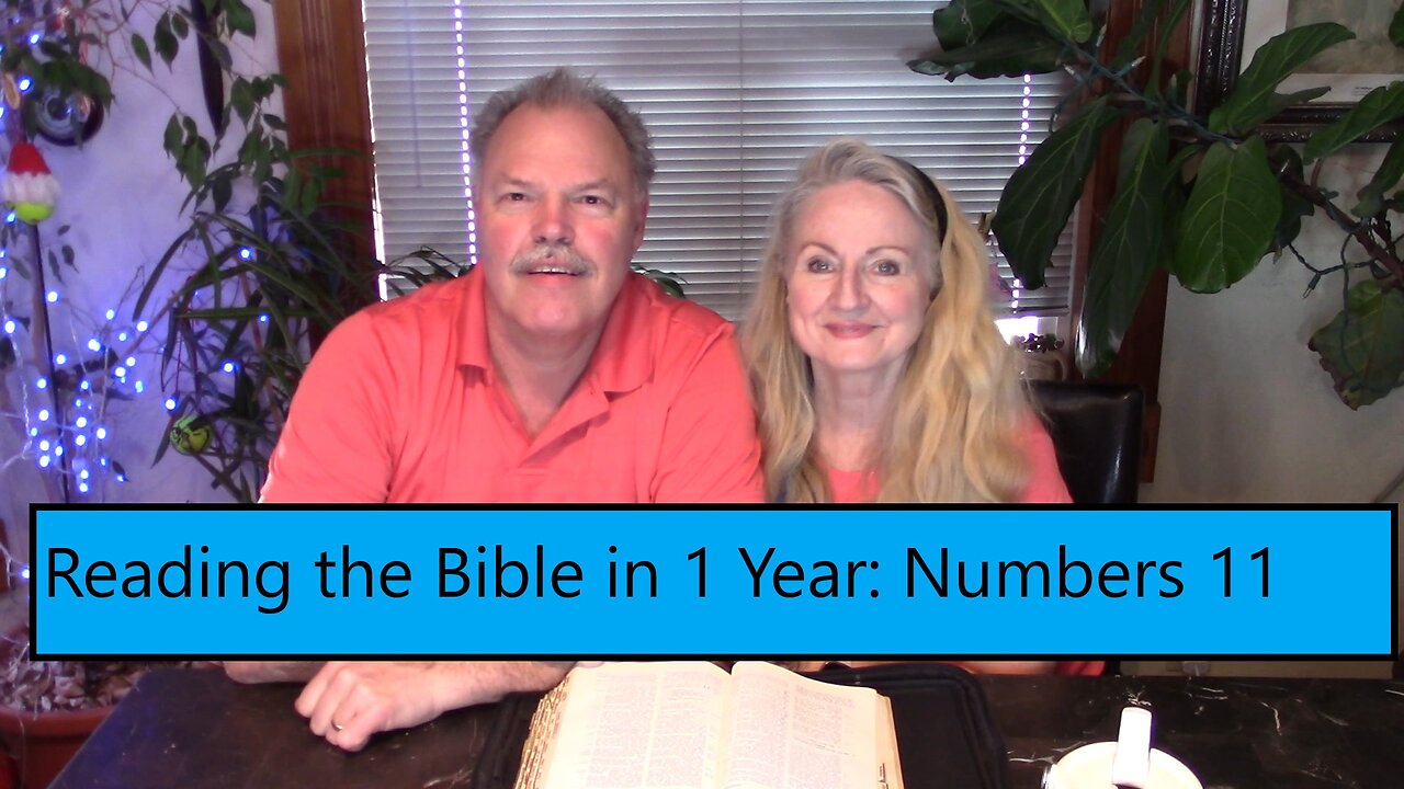 Reading the Bible in 1 Year - Numbers Chapter 11