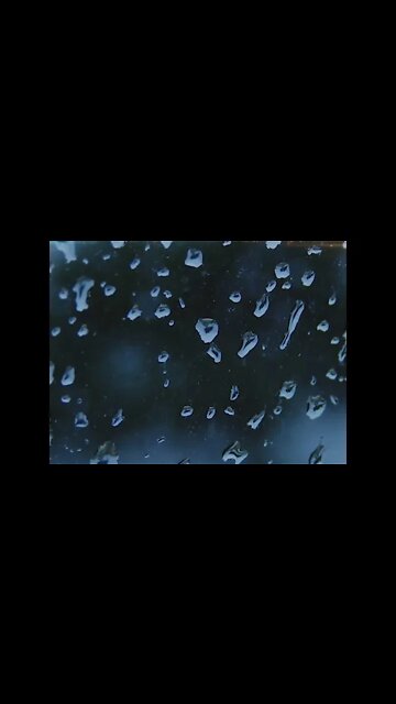 Rain Drops