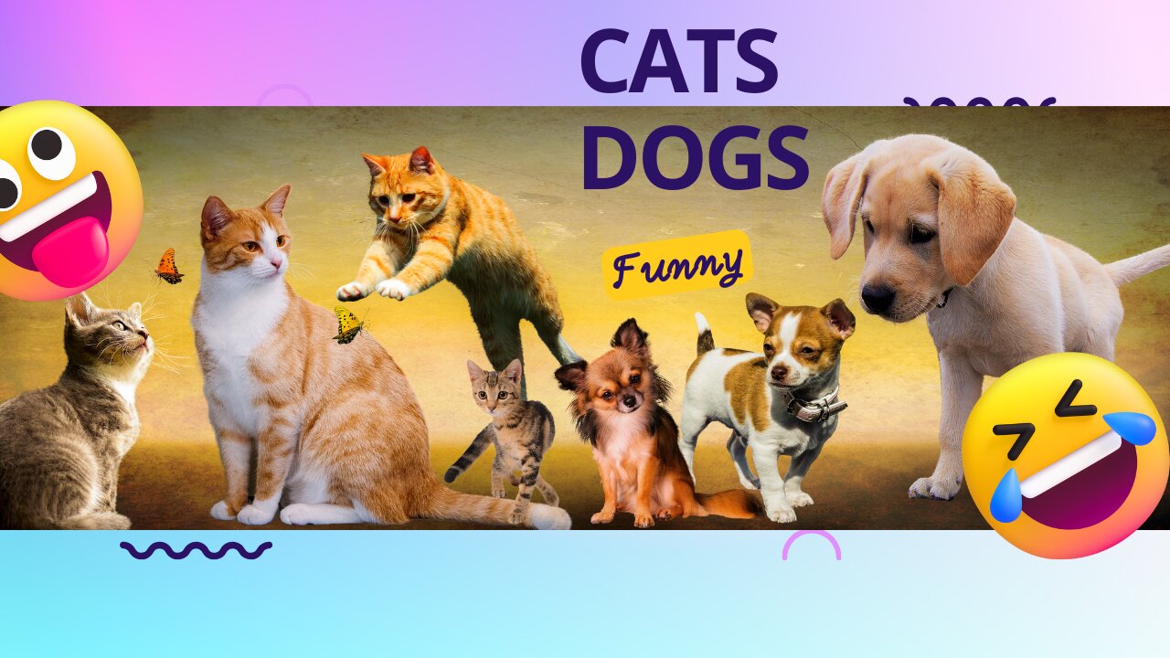 "Laughs Unleashed: Hilarious Cats and Dogs Comedy Compilation!"