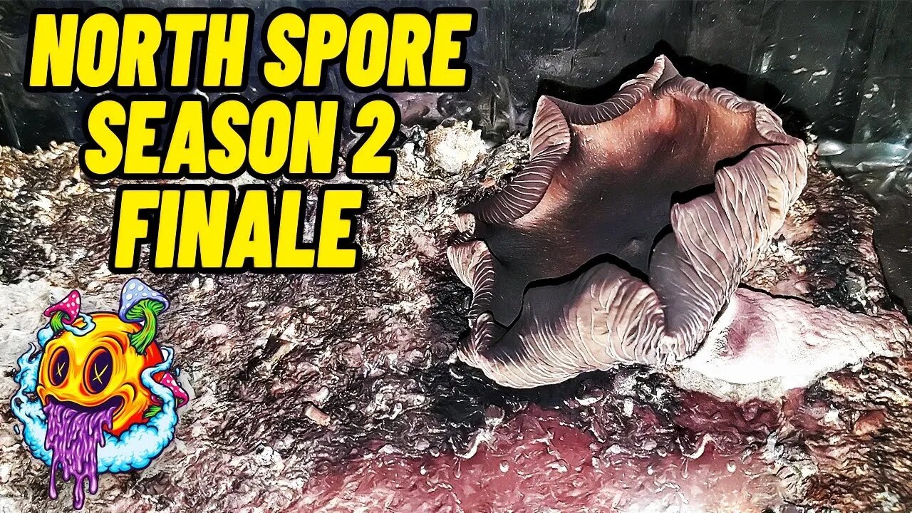 North Spore Boomr Bag Kit Season 2 Finale