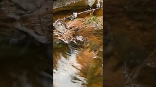 Water somehow creating a whirlpool