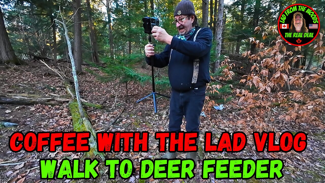 October 19, 2024, join me for a coffee chat as we stroll over to the deer feeder in my vlog!