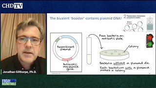 Components of mRNA Vaccines — A Scientific Analysis