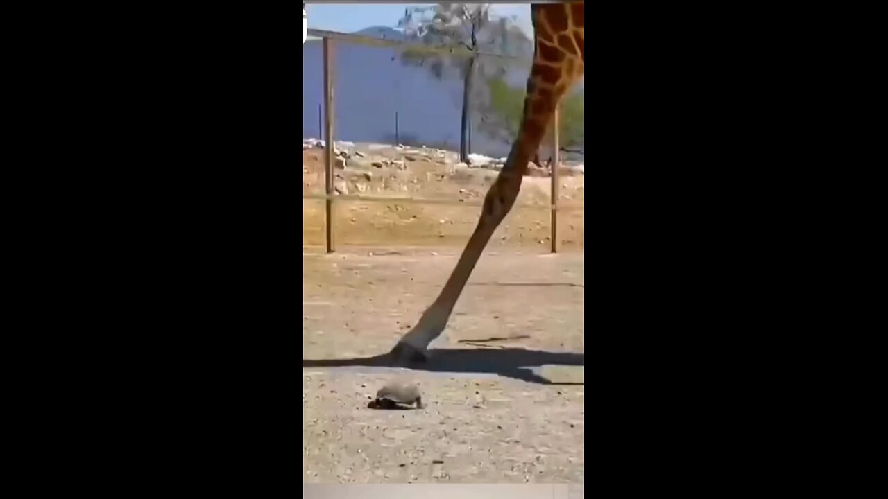 fun