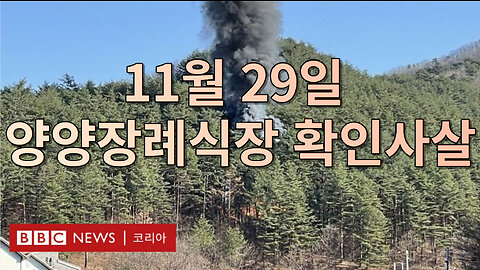 11월 29일 양양장례식장 2차 확인사살 (1080p)