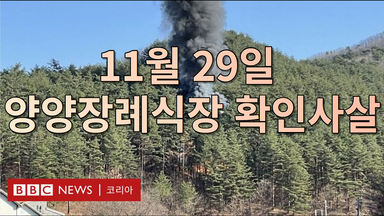 11월 29일 양양장례식장 2차 확인사살 (1080p)