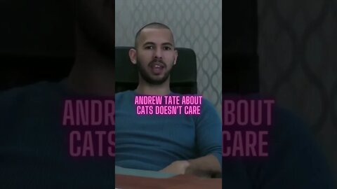 Andrew Tate about cats doesn't care #Shorts