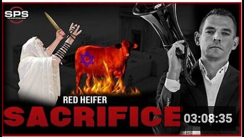 Stew Peters Debates Israel's Red Heifer Breeder and a JEW
