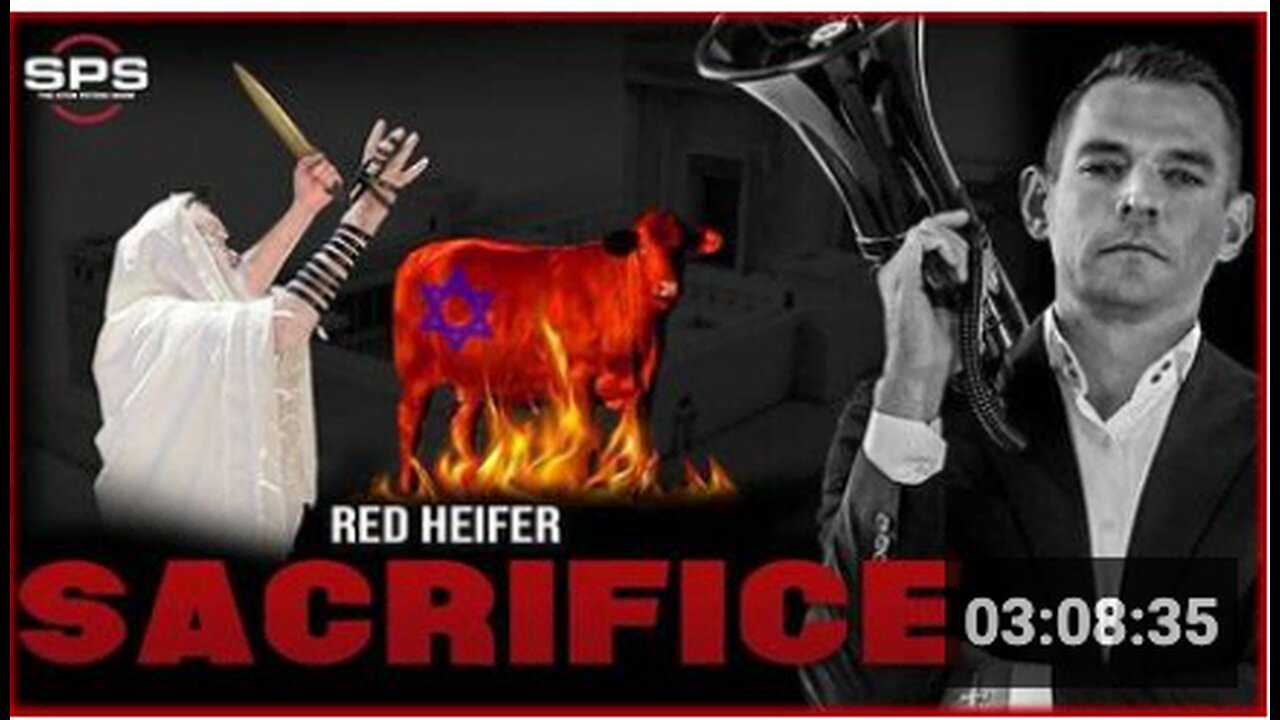 Stew Peters Debates Israel's Red Heifer Breeder and a JEW