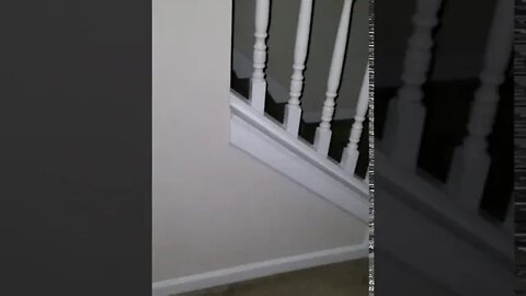 New home yall i thank you ytf and bell steppas