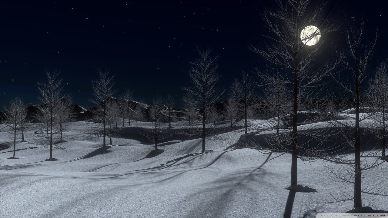 Night Owls - Thursday, December 21
