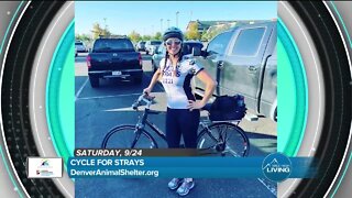 Cycle For Strays // Denver Animal Shelter