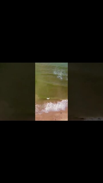 If you don’t have the discipline