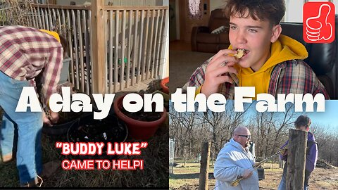 Farm Life Adventures: Buddy Luke Joins us for a Big Farm Project!