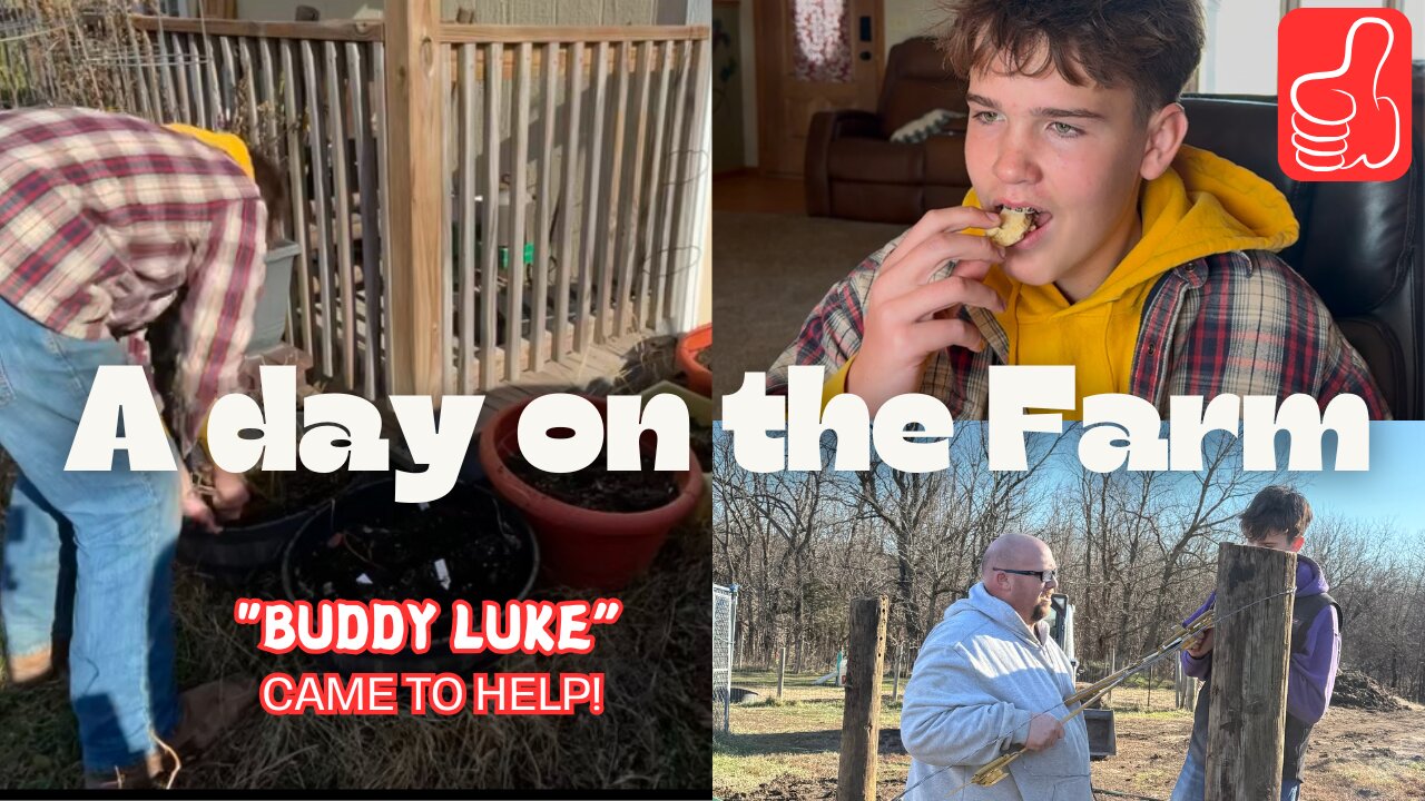 Farm Life Adventures: Buddy Luke Joins us for a Big Farm Project!