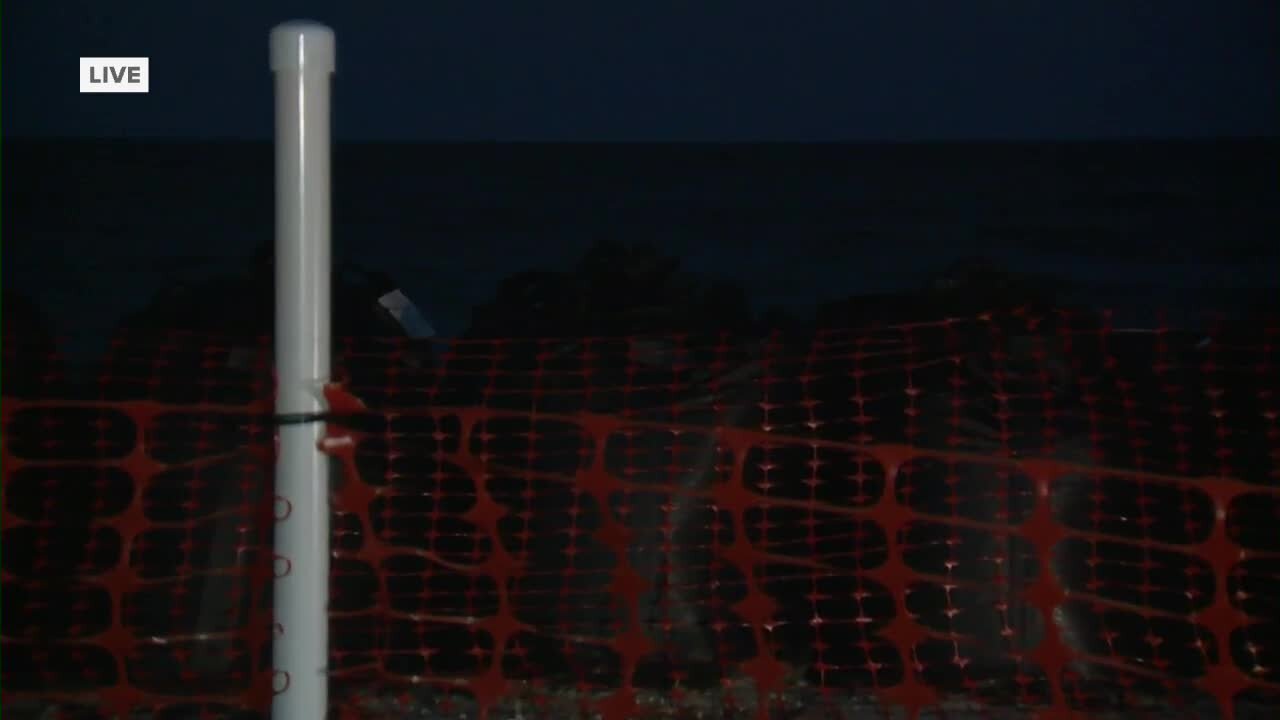 Estero Island beach erosion