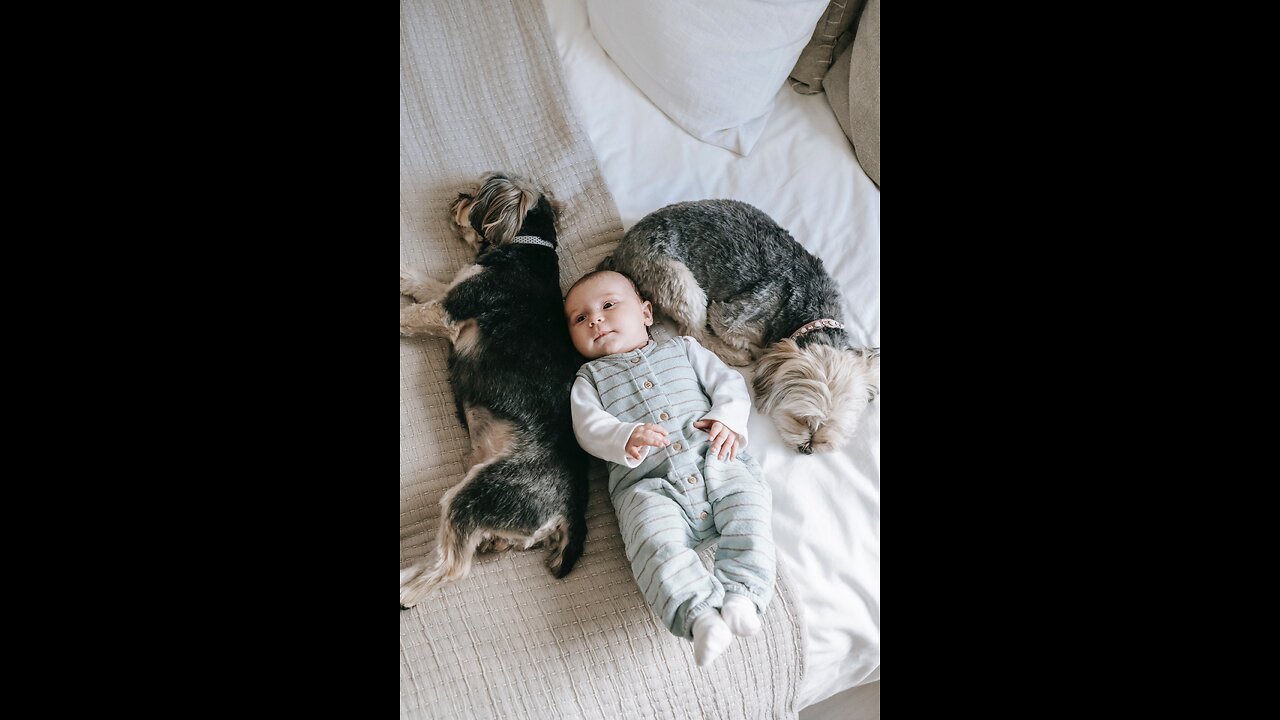 Cute Dogs And Adorable Babies