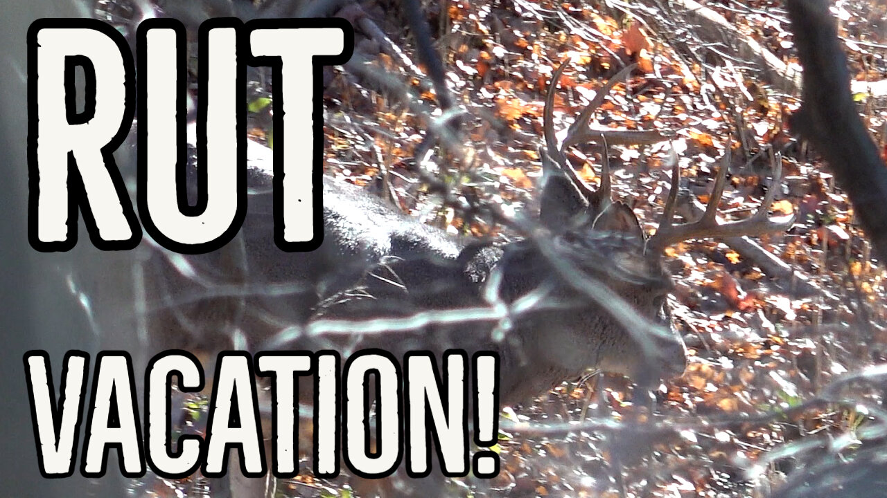 BOWHUNTING the RUT! - Rut Vacation 2022