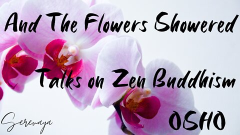 OSHO Talk on Zen Buddhism - And The Flowers Showered - The Perfet Man Is Centered - 6