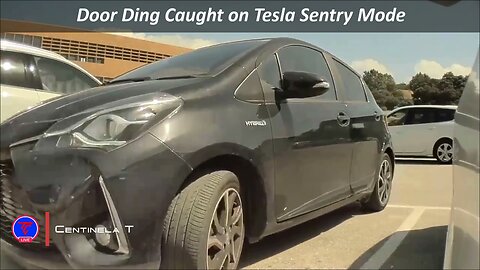 Door Ding Caught on Tesla Sentry Mode | Teslcam Live