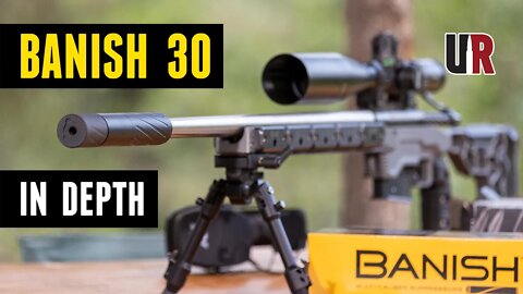 IN-DEPTH: BANISH 30 Multi-Cal Suppressor from Silencer Central