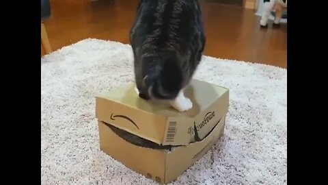 this is my box