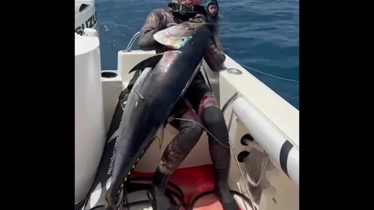 Wrestling her catch one last time; what a beast of a first tuna fish!