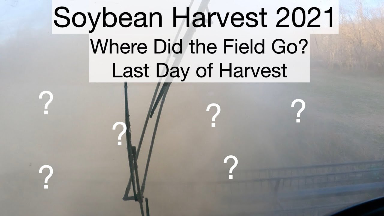 Soybean Harvest 2021 Where did the field go? Last Day of Harvest