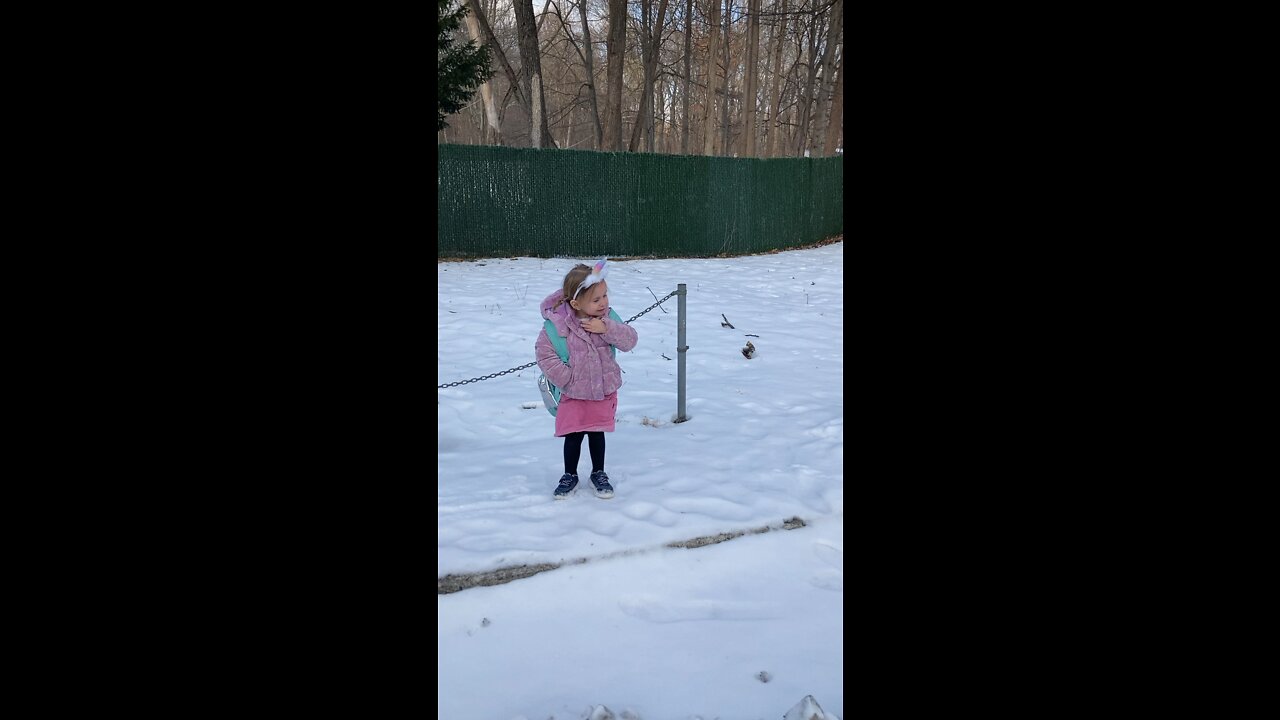 Dassie eating snow at school eeeeew