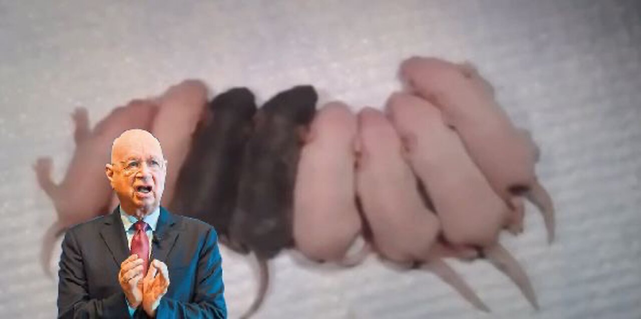 Schwab and the WEF want to genetically remove black pigment…