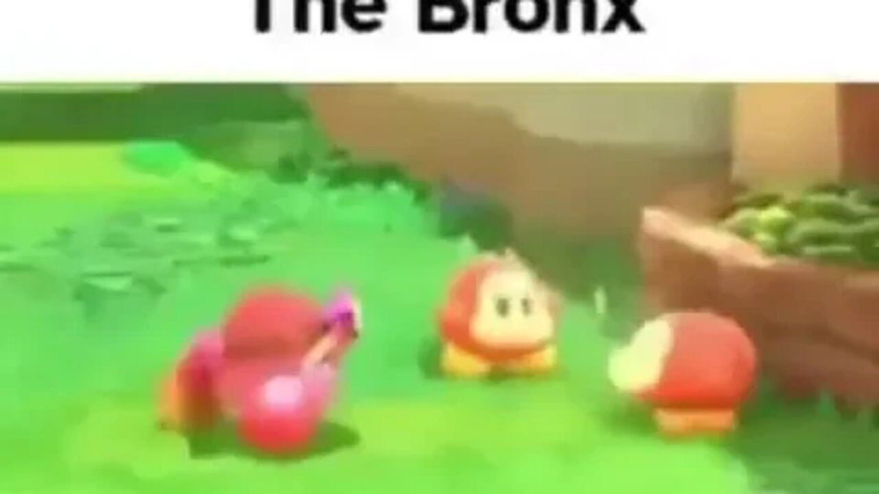 The Bronx