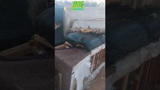 Cemitério Dos Sofás [de novo] 2 #shorts