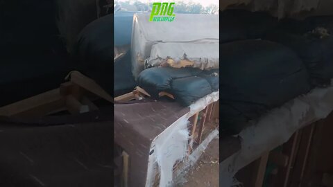 Cemitério Dos Sofás [de novo] 2 #shorts