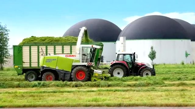 Super Grass could improve farming, help fracking alternative