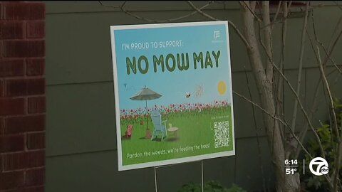 Ferndale set to launch inaugural 'No Mow May'