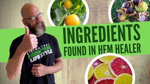 ingredients in Hem Healer | Hemorrhoids | Piles