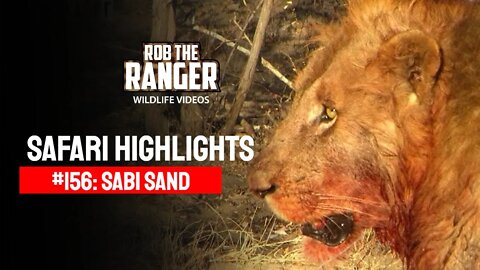 Safari Highlights #156: 07 - 10 August 2012 | Sabi Sand Nature Reserve | Latest Wildlife Sightings