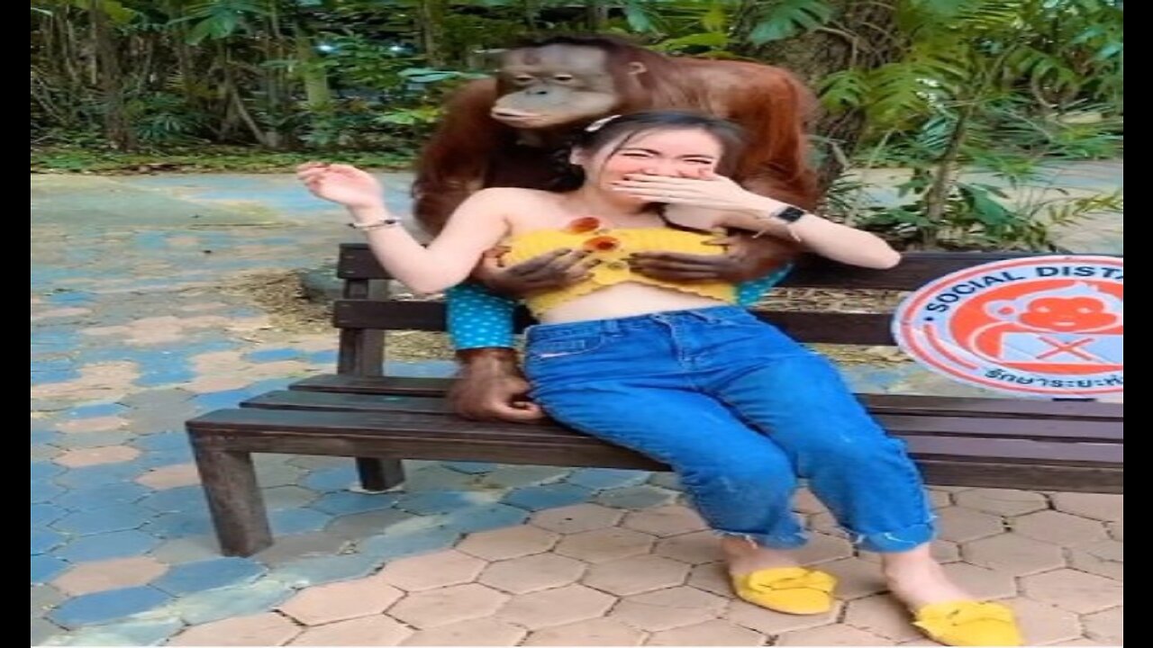 monkey funny with girl