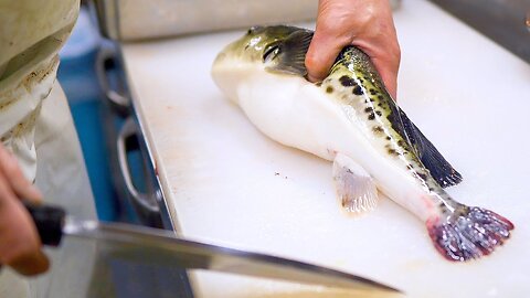 Moving blowfish fillets is a traditional Japanese technique!