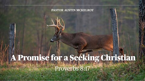 A Promise for a Seeking Christian, Pastor Austin McKeloy 11-13-2022