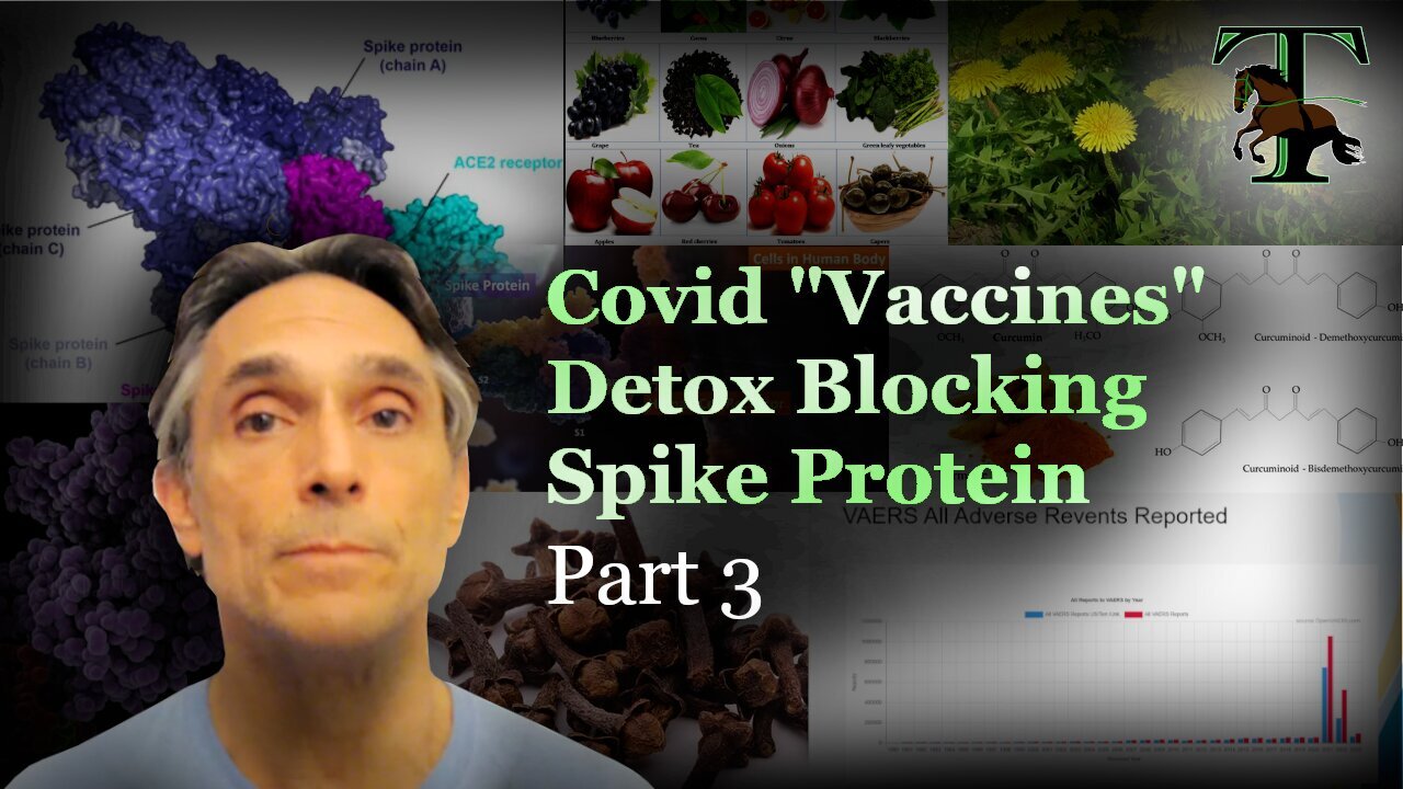 Covid "Vaccines" Deto: Blocking Spike Protein