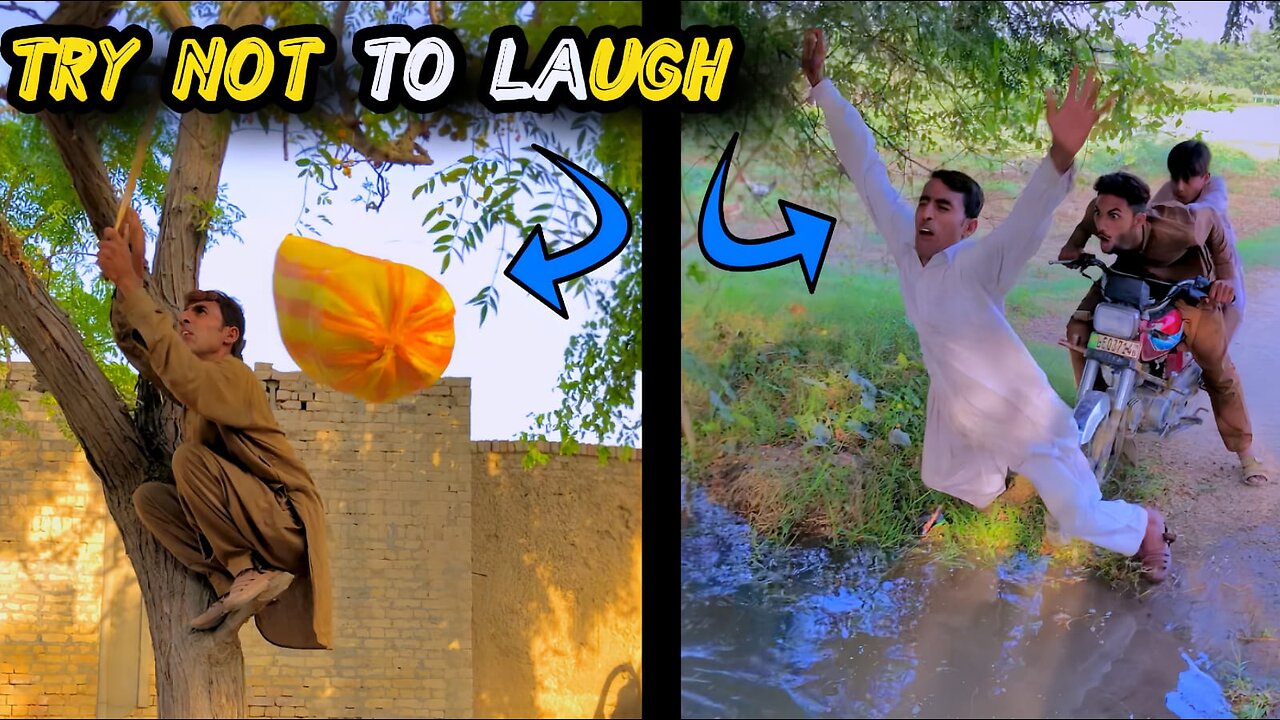 Most funny video 🤣 Try not to laugh 😂