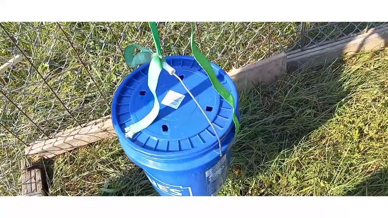 DIY chicken waterer. Build it yourself and save. #homesteading #diy #savemoney