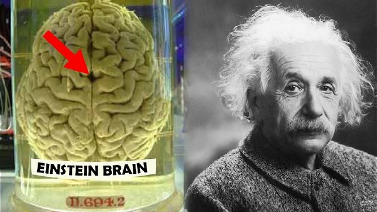 What Made Albert Einstein A Genius? (Viral video)