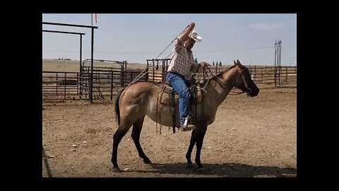 Horse Training | Georgie - Final Video