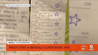 Fan says numbers show underdog Bengals are clear bet