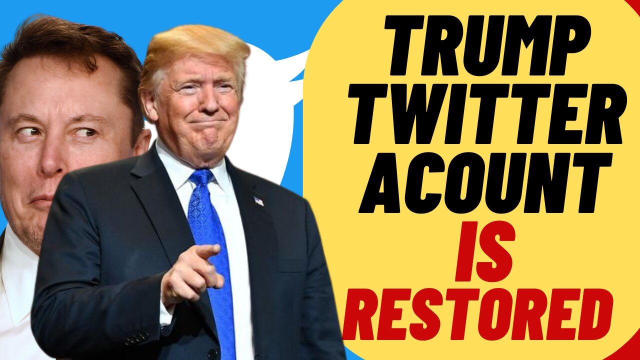 ELON Reinstates TRUMP Twitter Account, Leftists Lose It