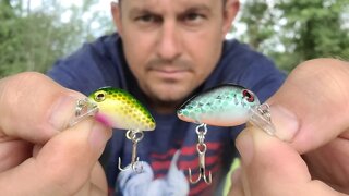 Fishing with TINY Crankbait - Panfish and Largemouth Bass