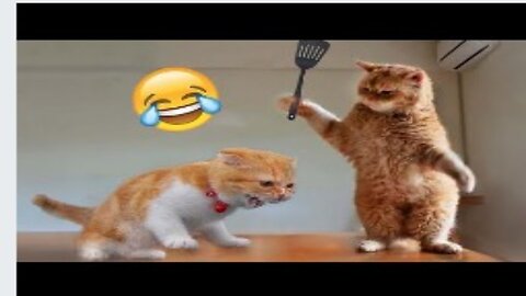 BEST FUNNY ANIMAL VIDEO 2023.RELAX WITH ANIMALS