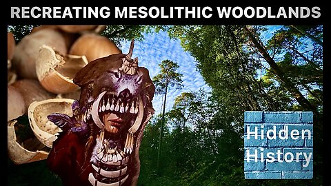 How can hazelnuts help recreate ancient Mesolithic hunter gatherer woodlands?